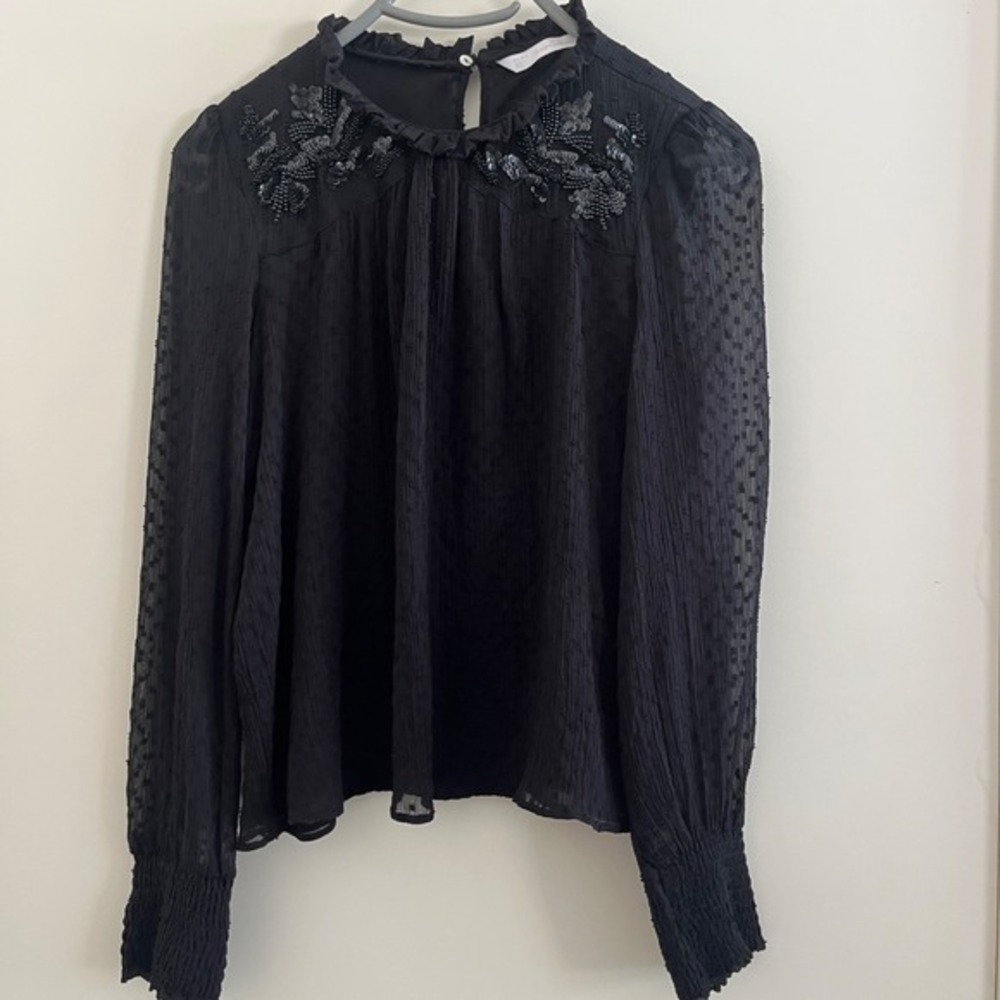 Zara Embellished Swiss Dot Blouse XS Victorian Romantic Goth Whimsigoth Ethereal